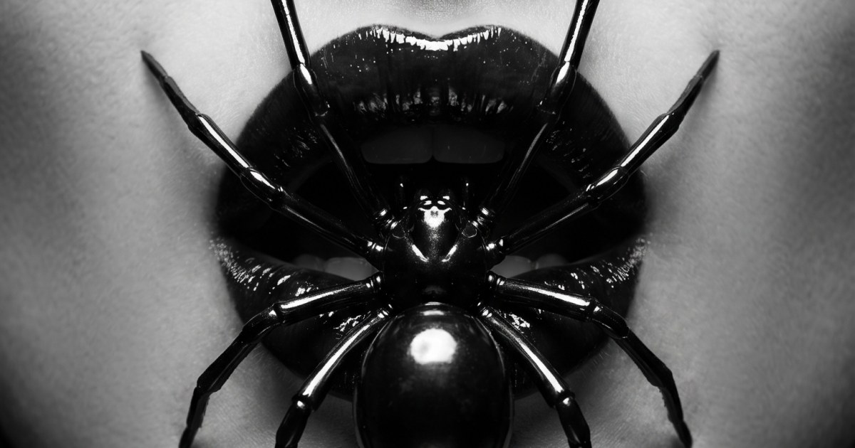 Black Widow Dark Photography