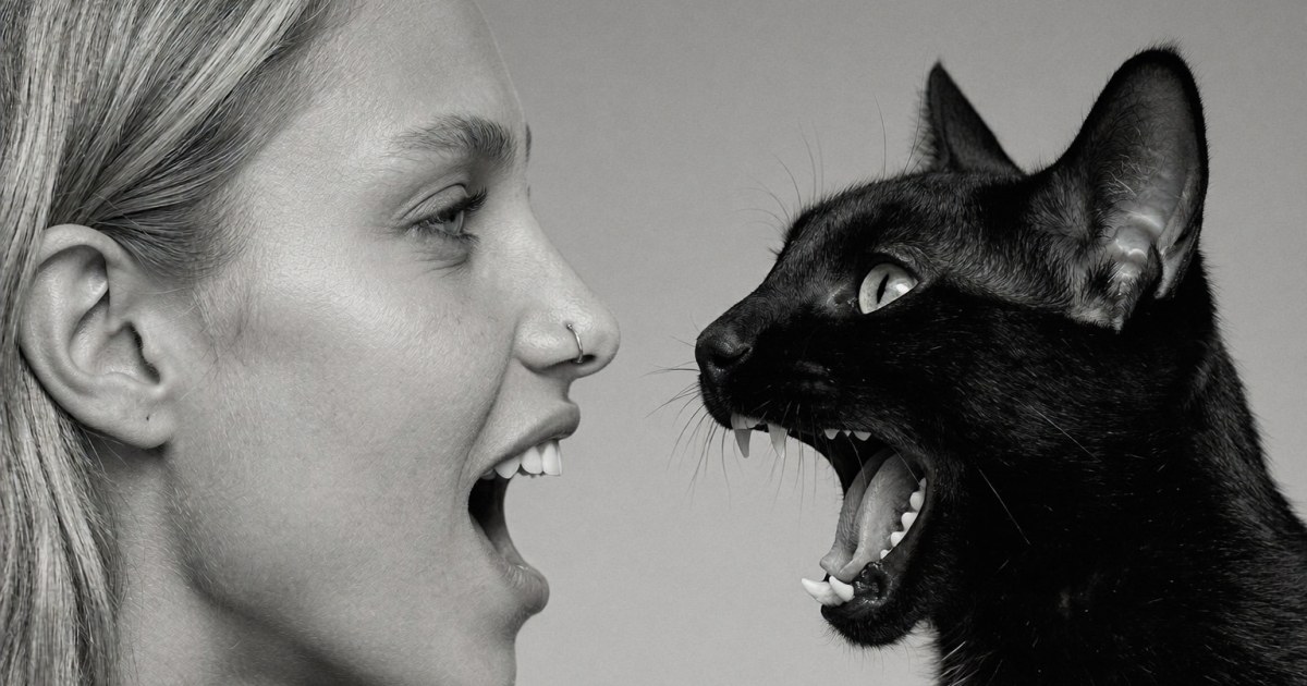 Cat Duet