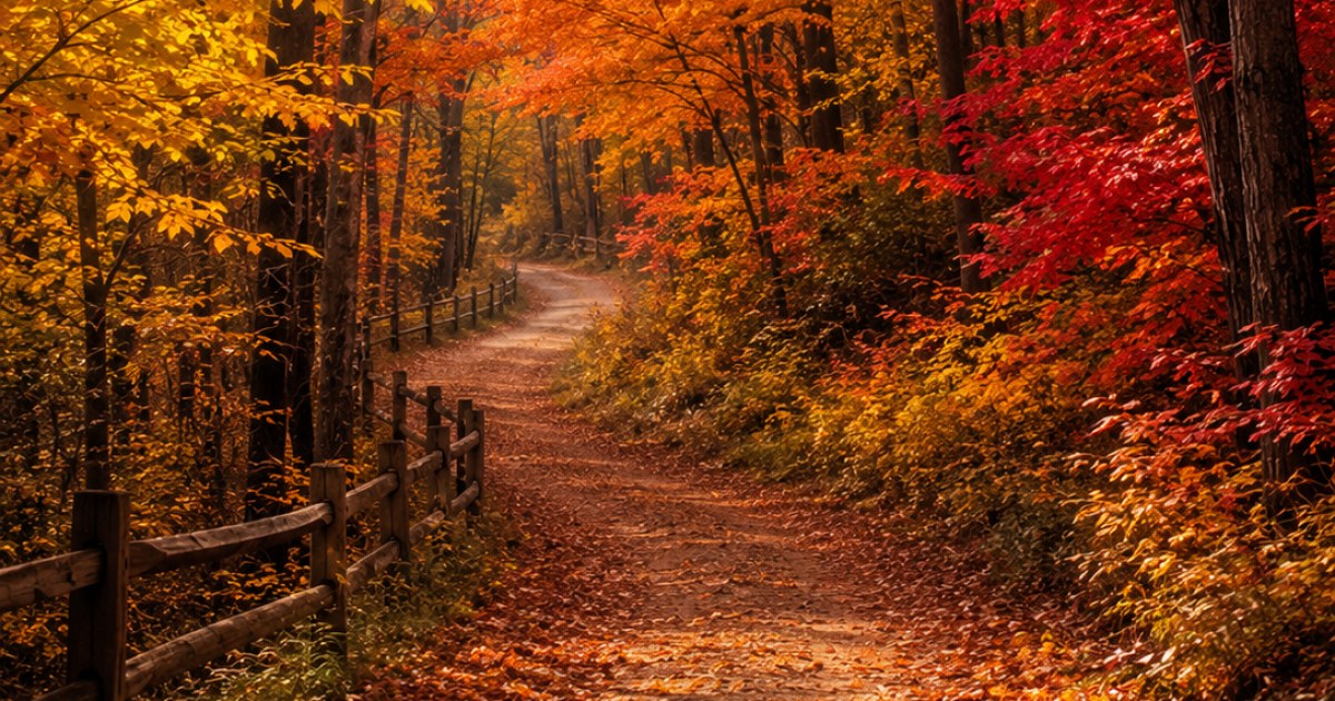The Autumn Path