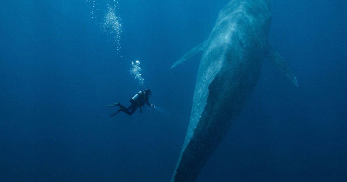 The Deep Encounter