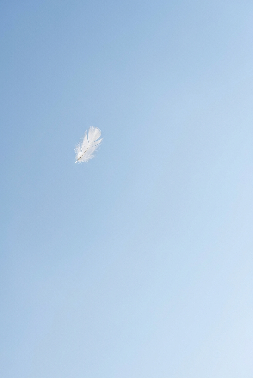 The Floating Feather-Negative Space Study