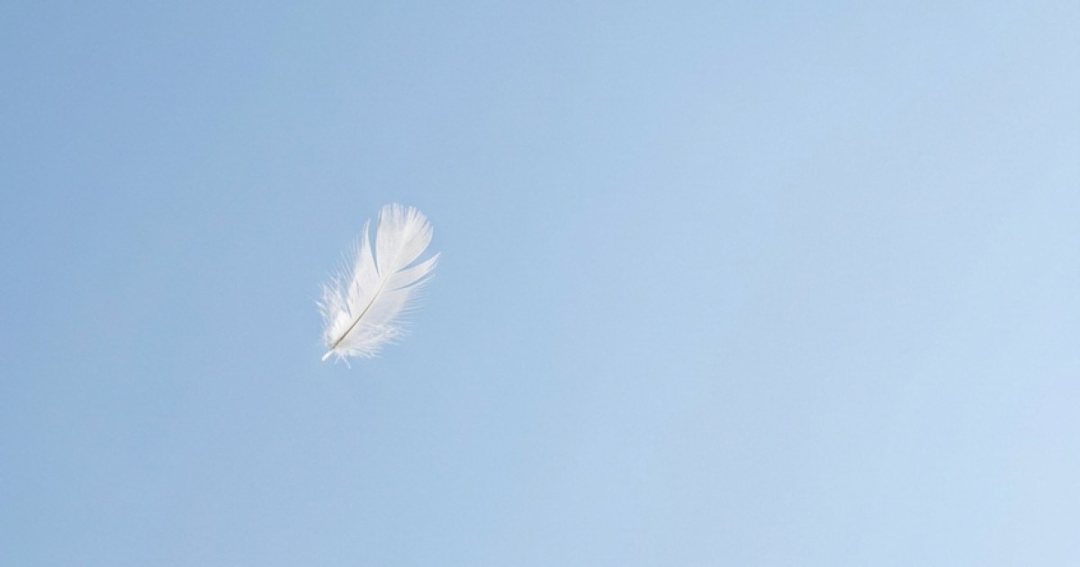 The Floating Feather-Negative Space Study