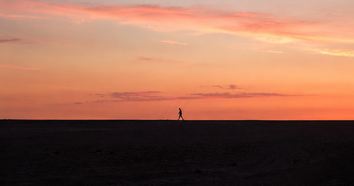 The Horizon Walker