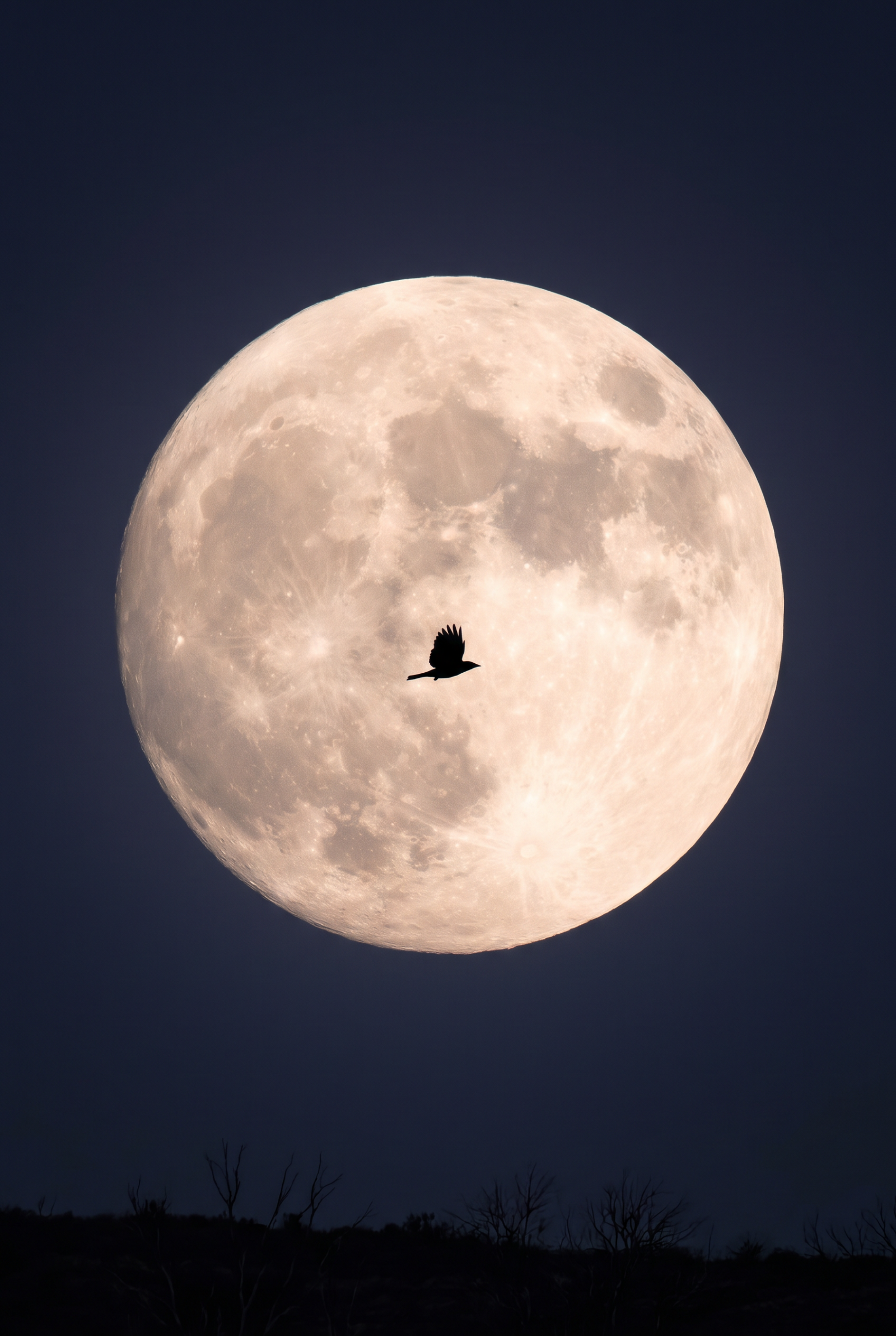 The Silent Moon-negative space study