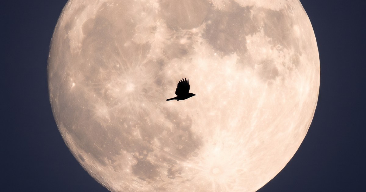 The Silent Moon-negative space study